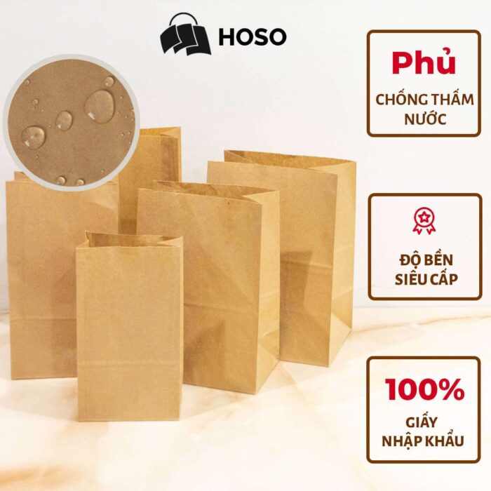 Các mẫu túi giấy kraft nhật không quai