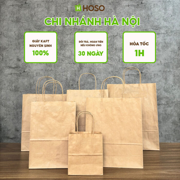 Túi giấy kraft nâu trơn có quai