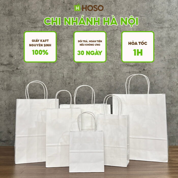 Túi giấy kraft trắng trơn có quai
